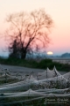 022_Biebrza - pazdziernik 2013